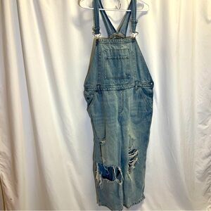 Wild Fable Denim Jean Overalls with Ripped Knees